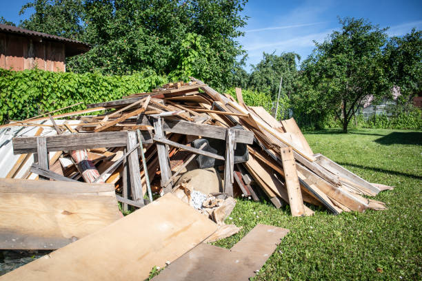 Best Shed Removal  in Dassel, MN